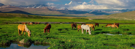 DEOSAI PARK
