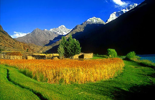 chitral