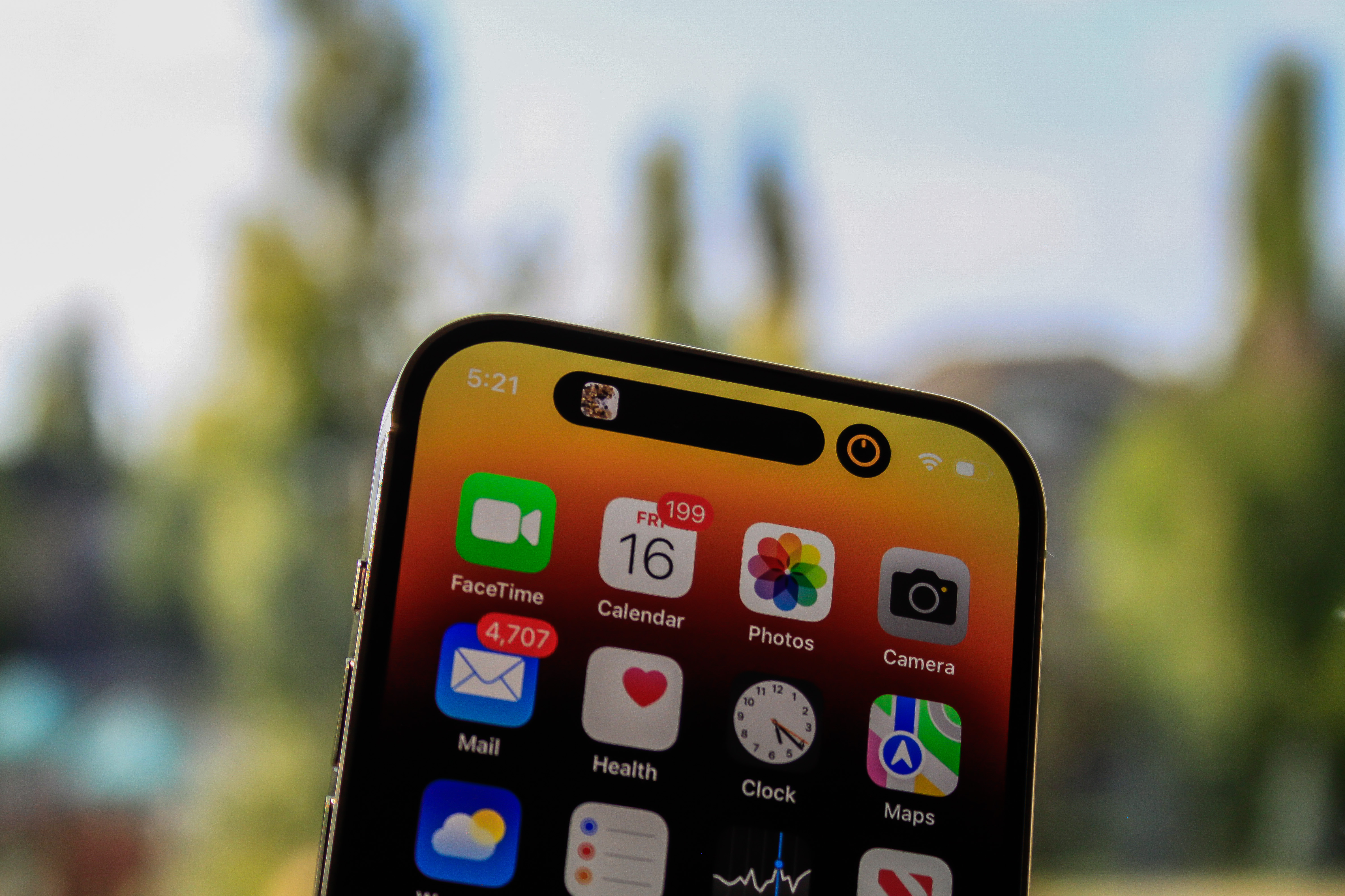 iPhone 14 Pro Max display