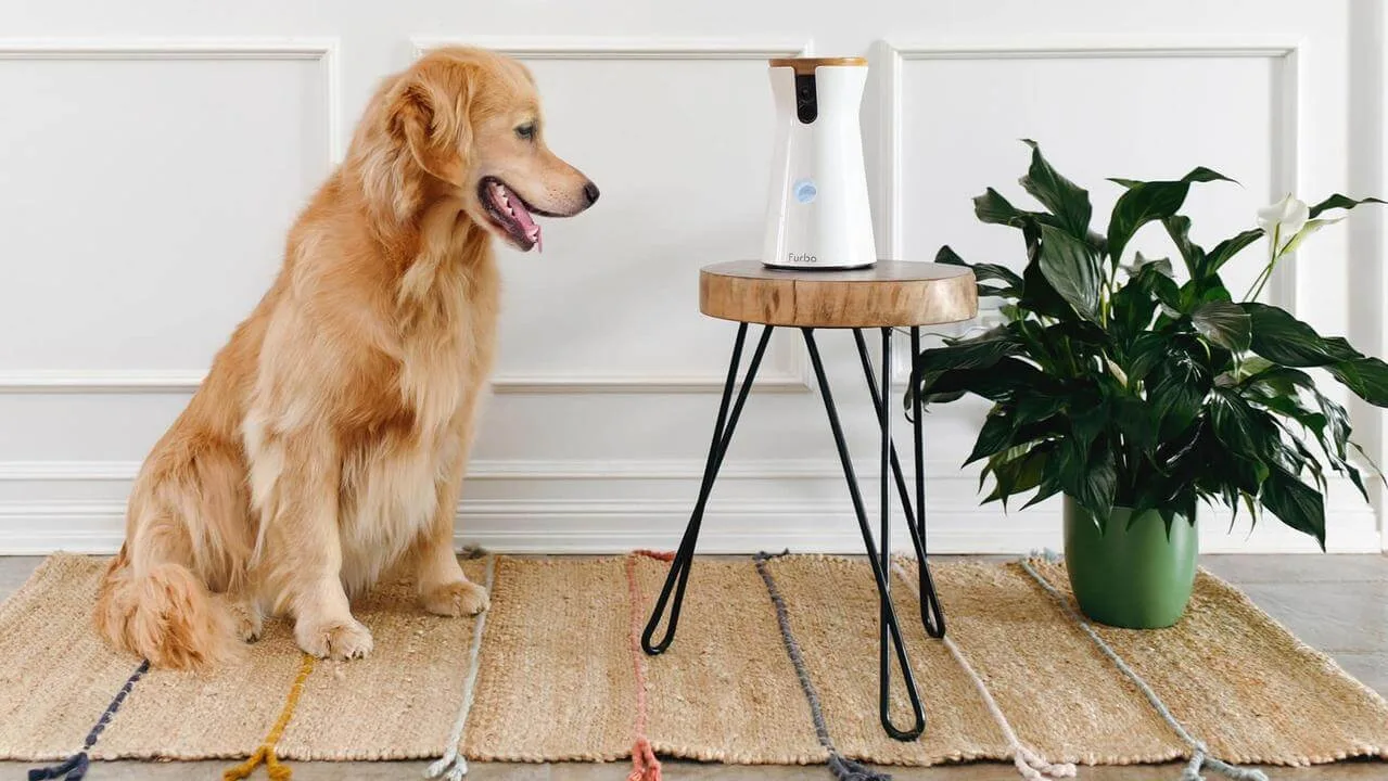 Pet Camera Amazon