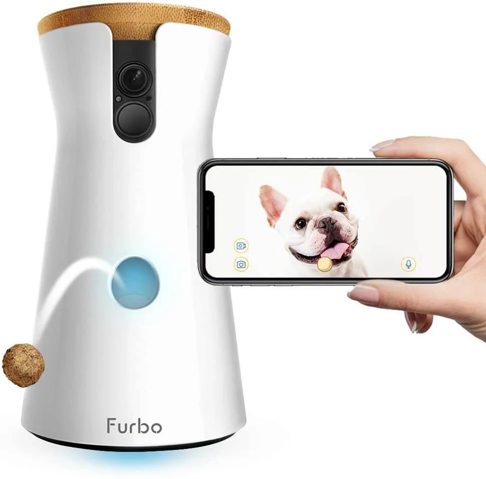 Pet Camera Amazon